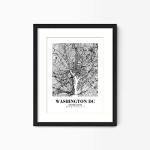 Washington DC Abstract Map Art Print Poster
