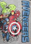 Hulk, Captain America, Thor Boys' Fleece Hoodie