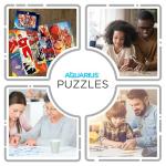 DC Comics The Flash 1000 Piece Puzzle