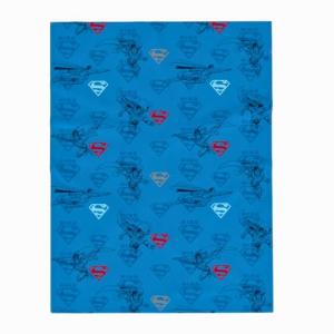 Superman Cozy Plush Throw Blanket - 46"x60