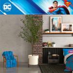 Superman Cozy Plush Throw Blanket - 46"x60