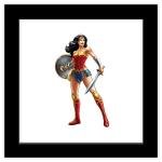 Wonder Woman Sword and Shield Framed Wall Art