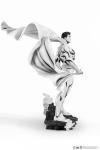 DC Heroes Superman Black and White Statue 1:8