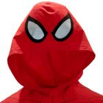 Marvel Avengers Boys Hoodie and Shorts Set