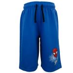 Marvel Avengers Boys Hoodie and Shorts Set