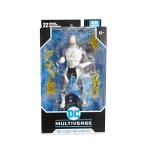 McFarlane Toys DC Multiverse The Flash Action Figure