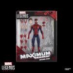 Marvel Legends Spider-Man Deluxe 6-Inch Action Figure