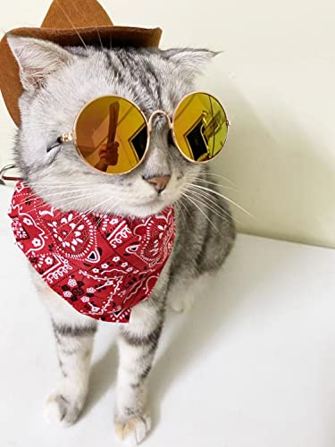 Pet Halloween Western Cowboy Costume Set