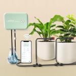 Smart Wi-Fi Automatic Watering System for Plants