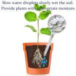 Self-Watering Bulbs for Indoor and Outdoor Plants