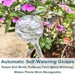 Self-Watering Bulbs for Indoor and Outdoor Plants