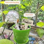 Self-Watering Bulbs for Indoor and Outdoor Plants