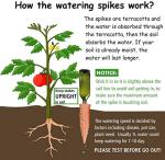 Terracotta Plant Watering Stakes - 6 Pack