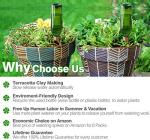 Terracotta Plant Watering Stakes - 6 Pack