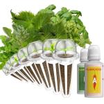 Gourmet Herb Seeds Kit for Hydroponic Gardens