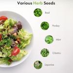 Gourmet Herb Seeds Kit for Hydroponic Gardens