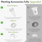 Gourmet Herb Seeds Kit for Hydroponic Gardens