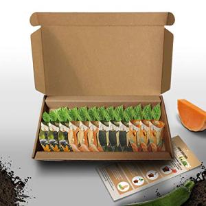 Vegtrug Seed Pods Kit - Grow Non-GMO Veggies