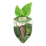 Vegtrug Seed Pods Kit - Grow Non-GMO Veggies