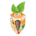 Vegtrug Seed Pods Kit - Grow Non-GMO Veggies