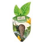 Vegtrug Seed Pods Kit - Grow Non-GMO Veggies