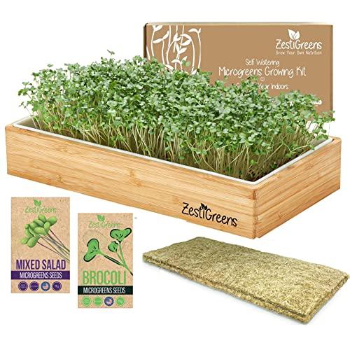 Beginner Microgreen Kits