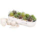Complete Microgreens Growing Kit for Indoor Herbs