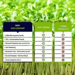 Self-Watering Microgreens Kit for Easy Home Growing