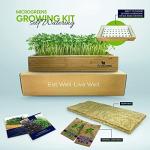 Self-Watering Microgreens Kit for Easy Home Growing