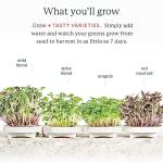 Complete Microgreens Growing Kit for Indoor Herbs