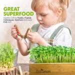 Self-Watering Microgreens Kit for Easy Home Growing