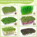 Stainless Steel 2-Tier Sprouts Growing Kit