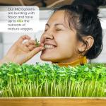 Self-Watering Microgreens Kit for Easy Home Growing