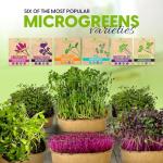 Microgreens Growing Kit with 6 Popular Seed Varieties