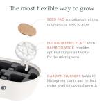 Complete Microgreens Growing Kit for Indoor Herbs