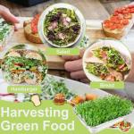 Stainless Steel 2-Tier Sprouts Growing Kit