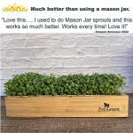 Self-Watering Microgreens Kit for Easy Home Growing