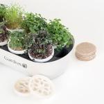 Complete Microgreens Growing Kit for Indoor Herbs