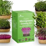 Microgreens Growing Kit with 6 Popular Seed Varieties