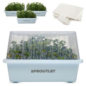 Easy Microgreen Grow Kit - Indoor Herb Garden