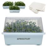 Easy Microgreen Grow Kit - Indoor Herb Garden