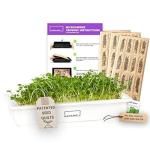 HAMAMA Microgreens Growing Kit - Kale & Broccoli