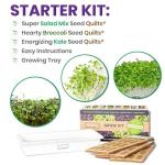 HAMAMA Microgreens Growing Kit - Kale & Broccoli