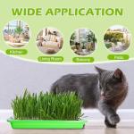 10-Pack BPA Free Seed Sprouting Trays