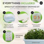 Easy Microgreen Grow Kit - Indoor Herb Garden