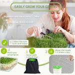 4-Tier Stackable Seed Sprouting Kit with Drainage