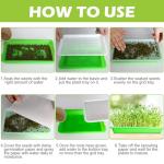 10-Pack BPA Free Seed Sprouting Trays