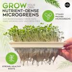 Easy Microgreen Grow Kit - Indoor Herb Garden