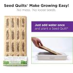 HAMAMA Microgreens Growing Kit - Kale & Broccoli