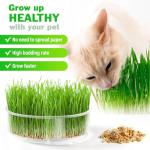 4-Tier Microgreens Growing Tray Kit with Drainage